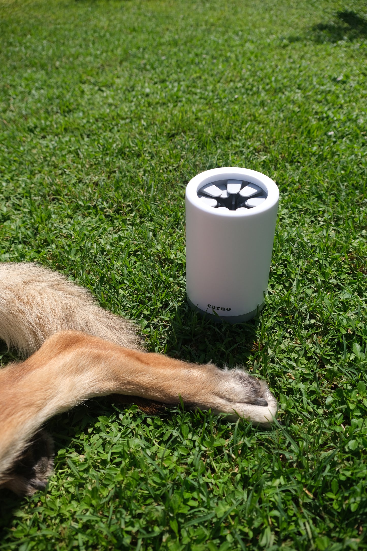 Reinigingsbeker voor honden- en kattenpoten