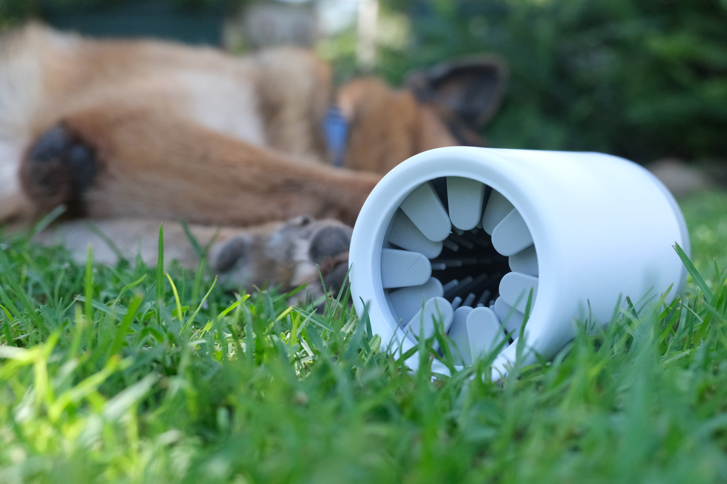 Reinigingsbeker voor honden- en kattenpoten