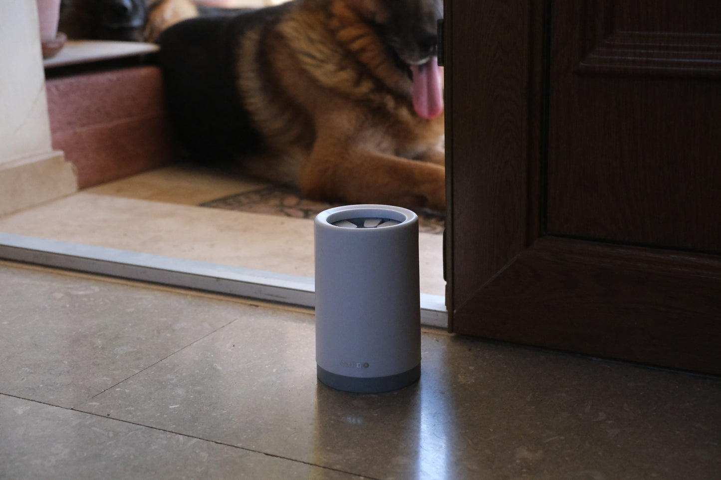 Reinigingsbeker voor honden- en kattenpoten