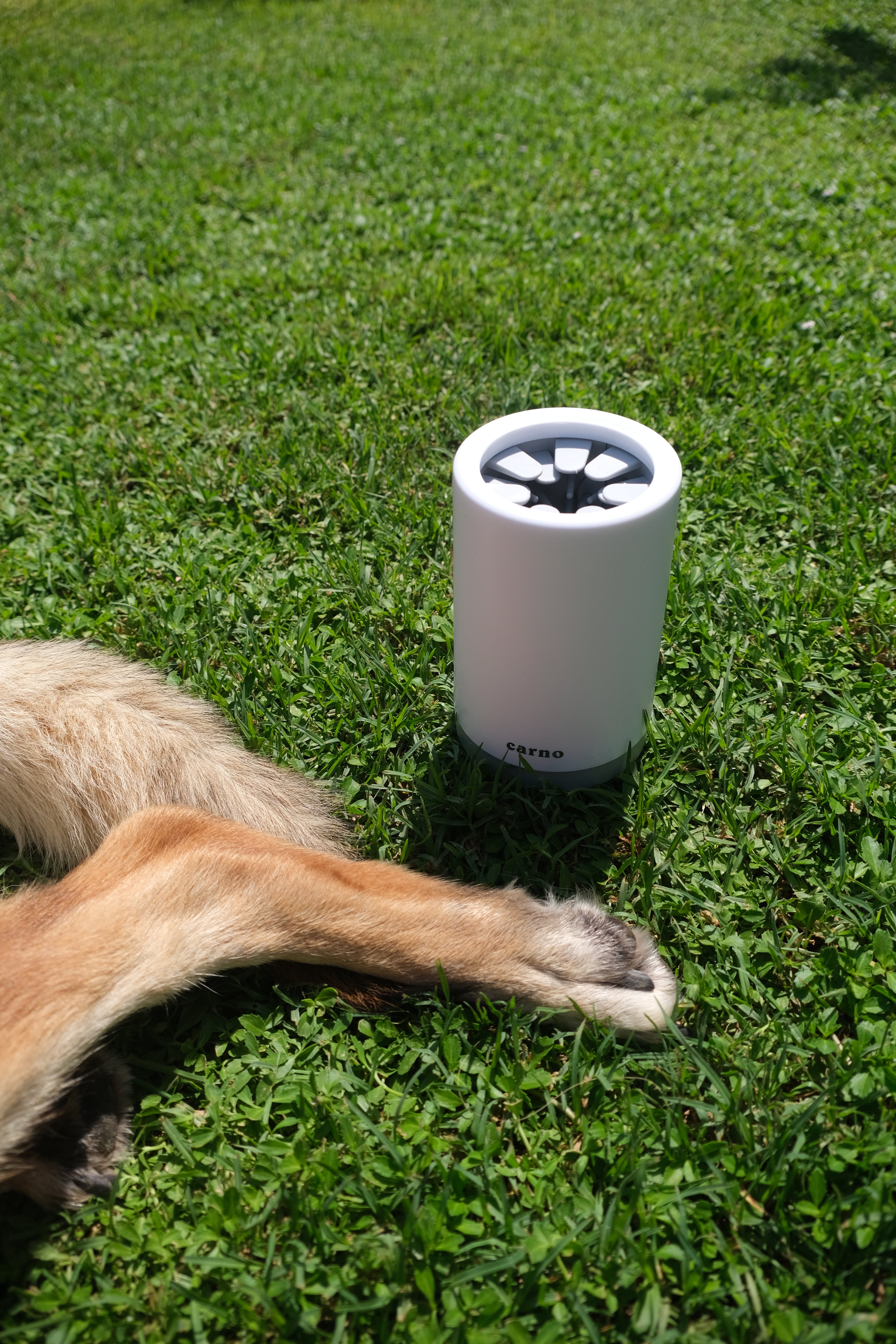 Paw Cleaning Cup for Dogs and Cats